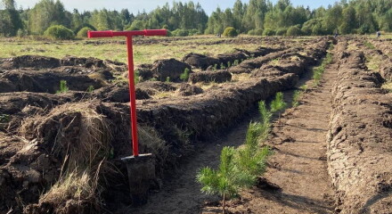 Калужская область начала подготовку к ежегодной акции «Сохраним лес»