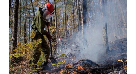 В Калужской области подведены итоги пожароопасного периода 2021 года