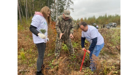 Более 800 тысяч деревьев высадили в калужском лесничестве в 2021 году
