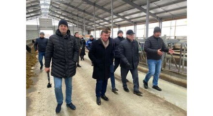 Предприятие Калужской области «Русский сыр» вышло на экономический эффект в 42 млн рублей в рамках нацпроекта «Производительность труда»
