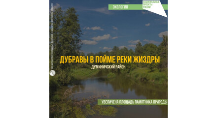 Увеличена площадь памятника природы «Дубравы в пойме р. Жиздры»