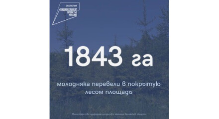 В Калужской области в разряд лесов перевели 1843 гектара молодых посадок