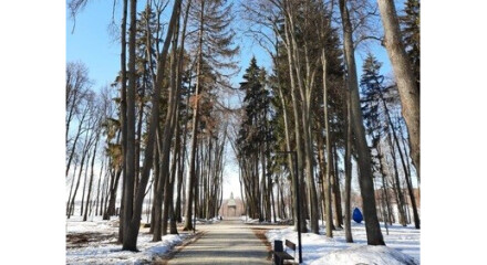 Проведено обследование Мещовского городского парка