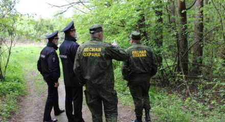 Более тысячи рейдов провели сотрудники калужских лесничеств с начала года