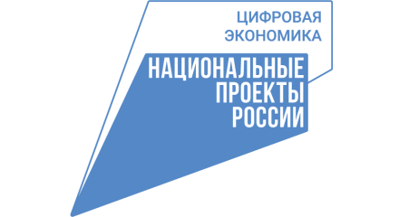 Калужские ИТ-проекты собрали призы в Красноярске
